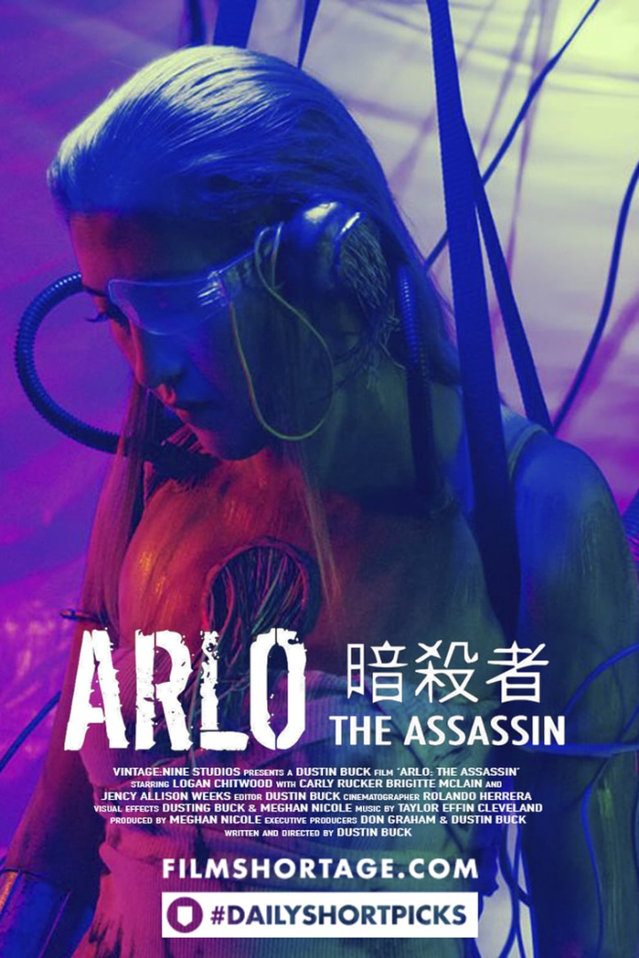 ARLO: THE ASSASSIN i gruppen Alla filmer hos Mohamad shop (523372)