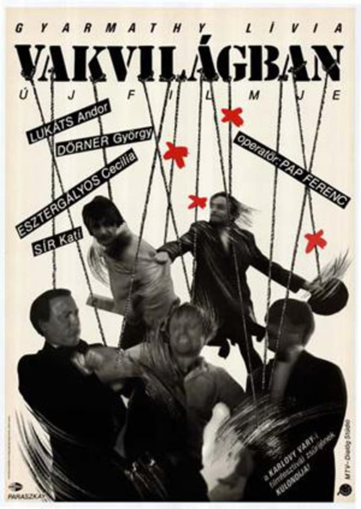 Blind Endeavour i gruppen Alla filmer hos Mohamad shop (523891)