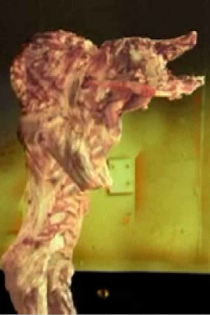 The Pig Walks i gruppen Alla filmer hos Mohamad shop (524086)