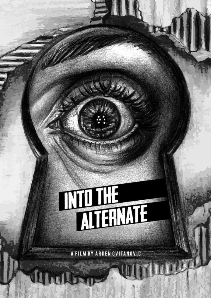 Into The Alternate i gruppen Alla filmer hos Mohamad shop (524176)