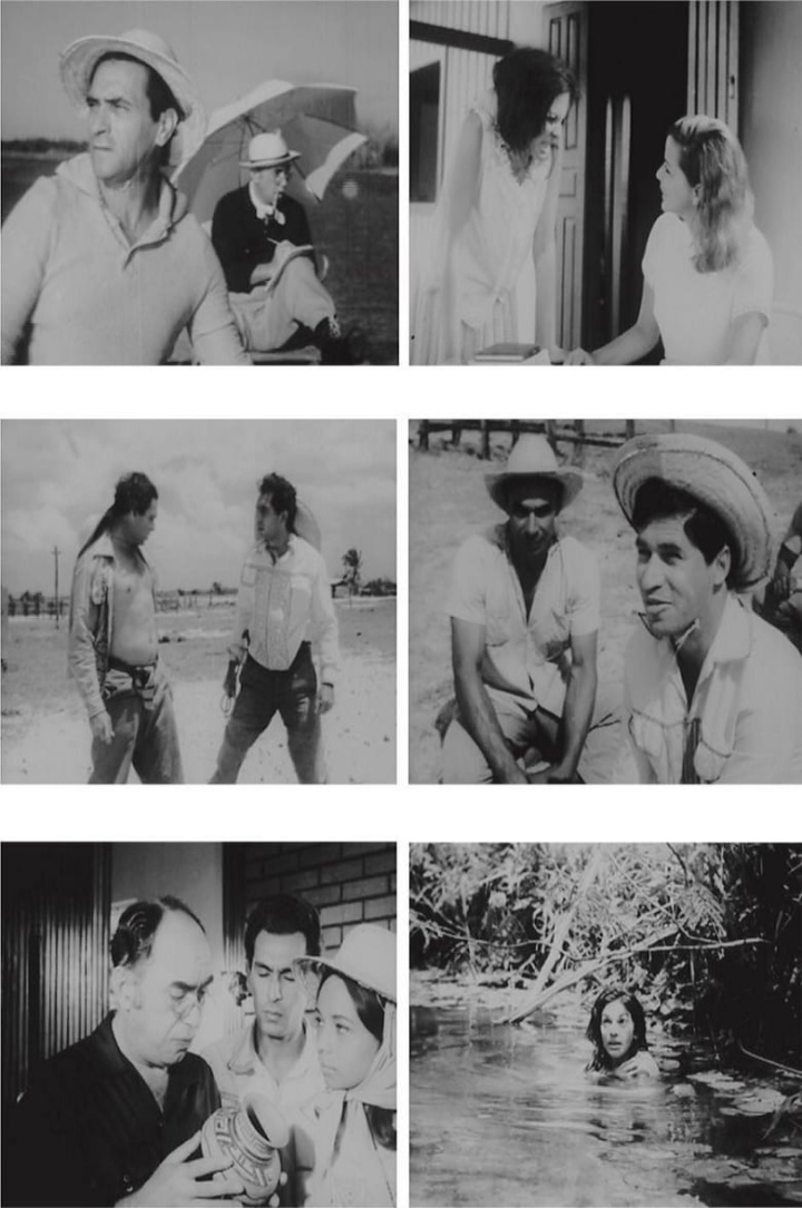 Marajó, Barreira do Mar i gruppen Alla filmer hos Mohamad shop (524359)