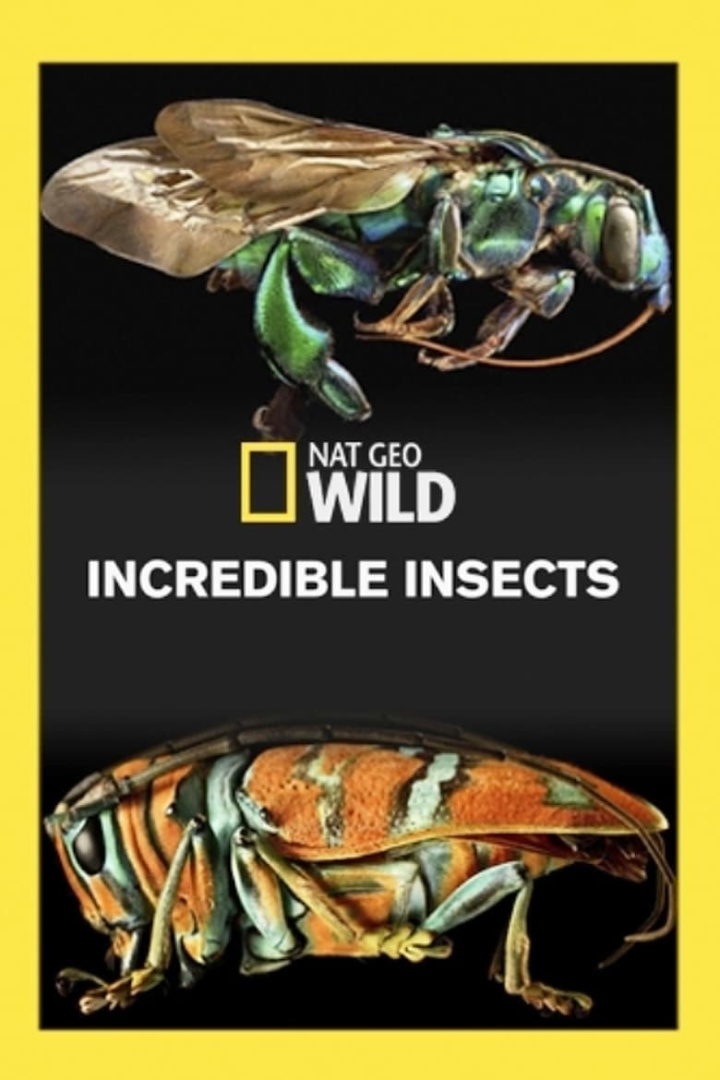 Incredible Insects i gruppen Alla filmer hos Mohamad shop (524504)