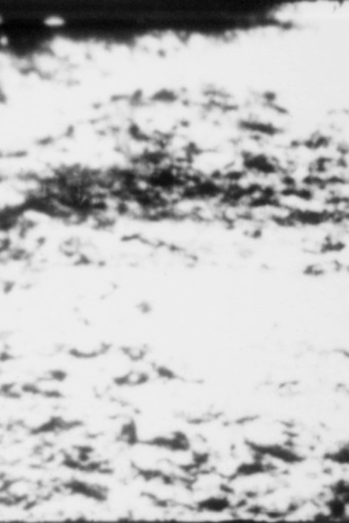 PTKHO i gruppen Alla filmer hos Mohamad shop (524755)