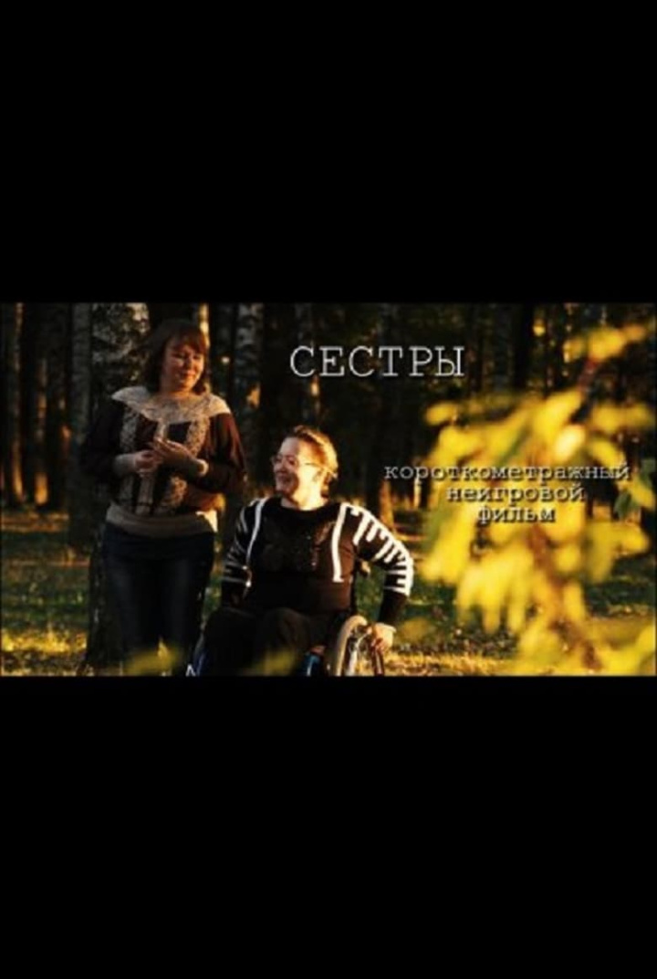 Sisters i gruppen Alla filmer hos Mohamad shop (524806)