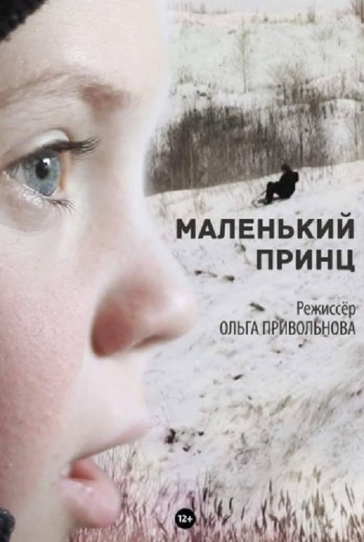 The Little Prince i gruppen Alla filmer hos Mohamad shop (524939)