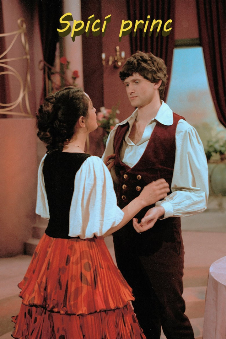 Spící princ i gruppen Alla filmer hos Mohamad shop (525014)