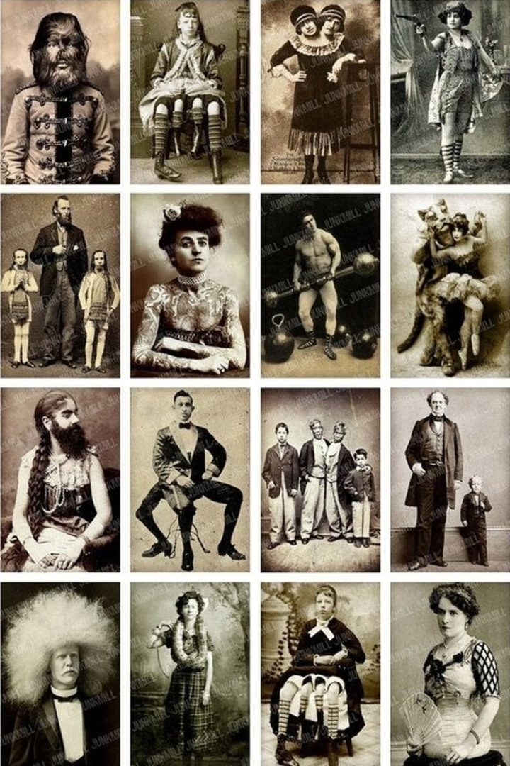 Circus Freaks and Sideshows i gruppen Alla filmer hos Mohamad shop (525071)