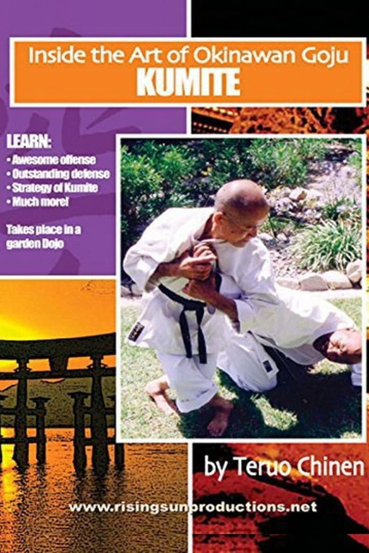 The Kumite i gruppen Alla filmer hos Mohamad shop (525236)