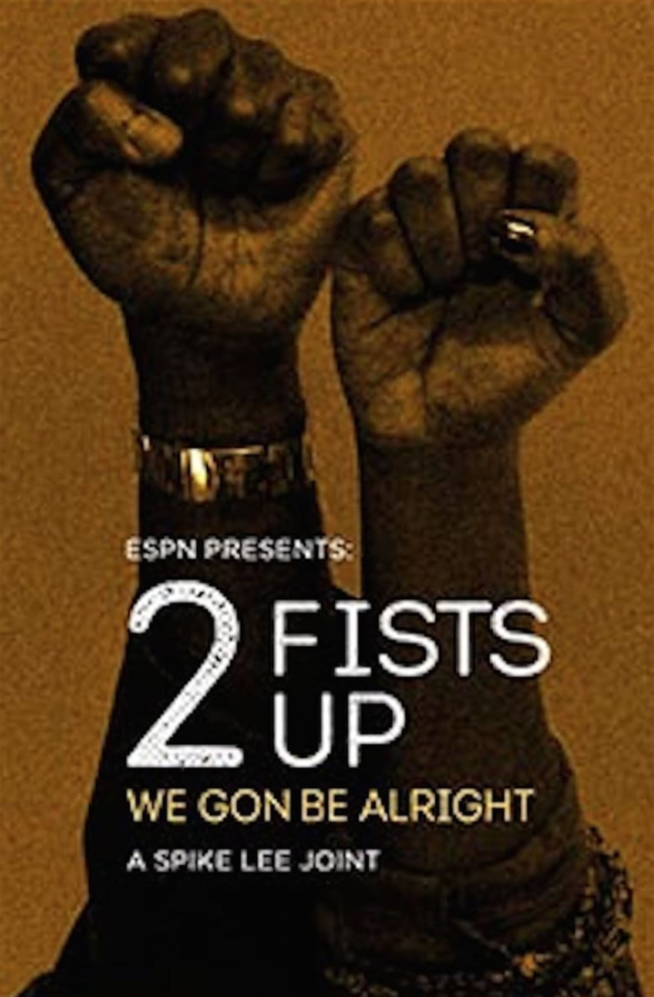 2 Fists Up i gruppen Alla filmer hos Mohamad shop (525504)