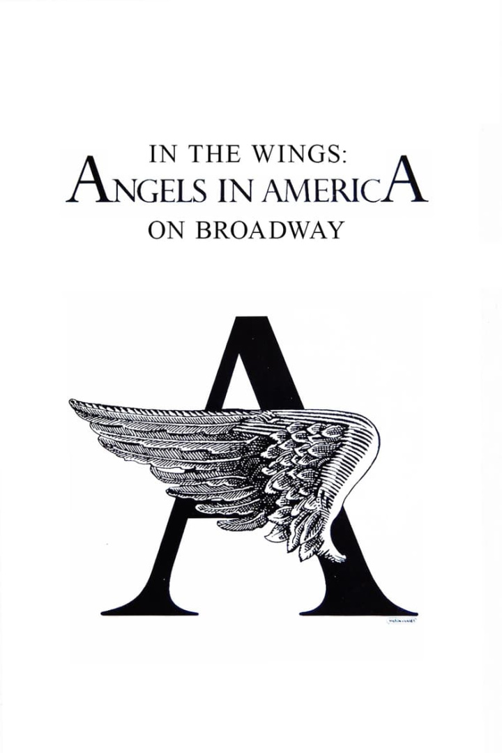 In the Wings: Angels in America On Broadway i gruppen Alla filmer hos Mohamad shop (525738)