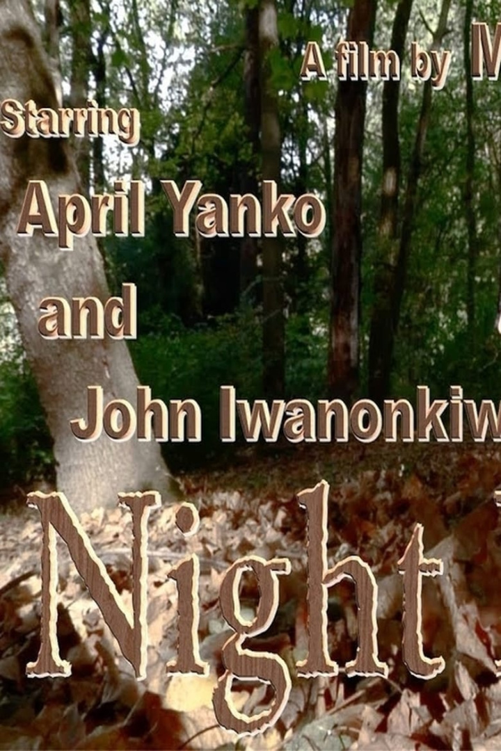 Night Light i gruppen Alla filmer hos Mohamad shop (525905)