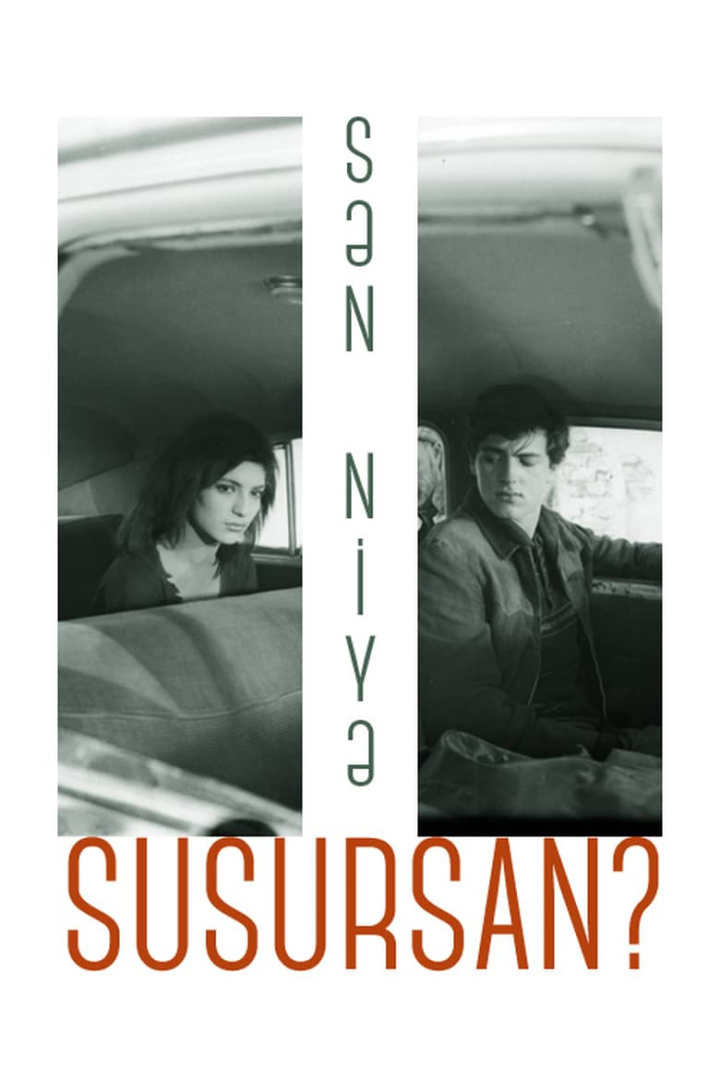 Why do You Remain Silent? i gruppen Alla filmer hos Mohamad shop (526104)