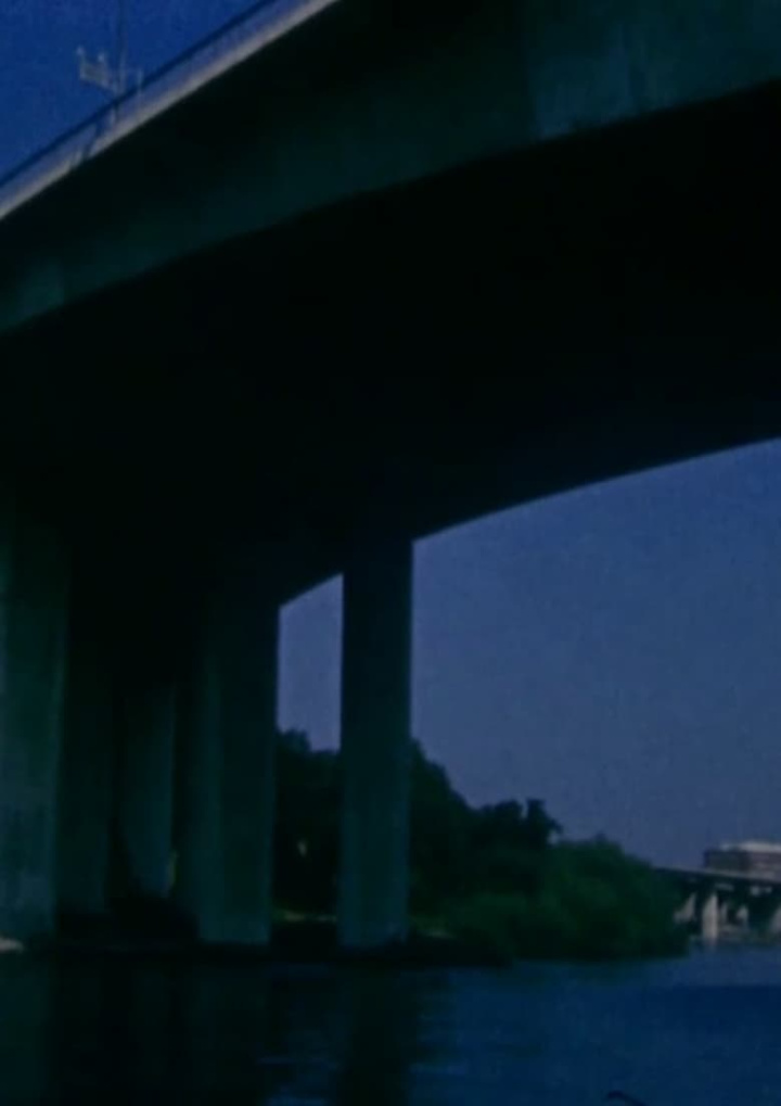 Sightseeing i gruppen Alla filmer hos Mohamad shop (526136)