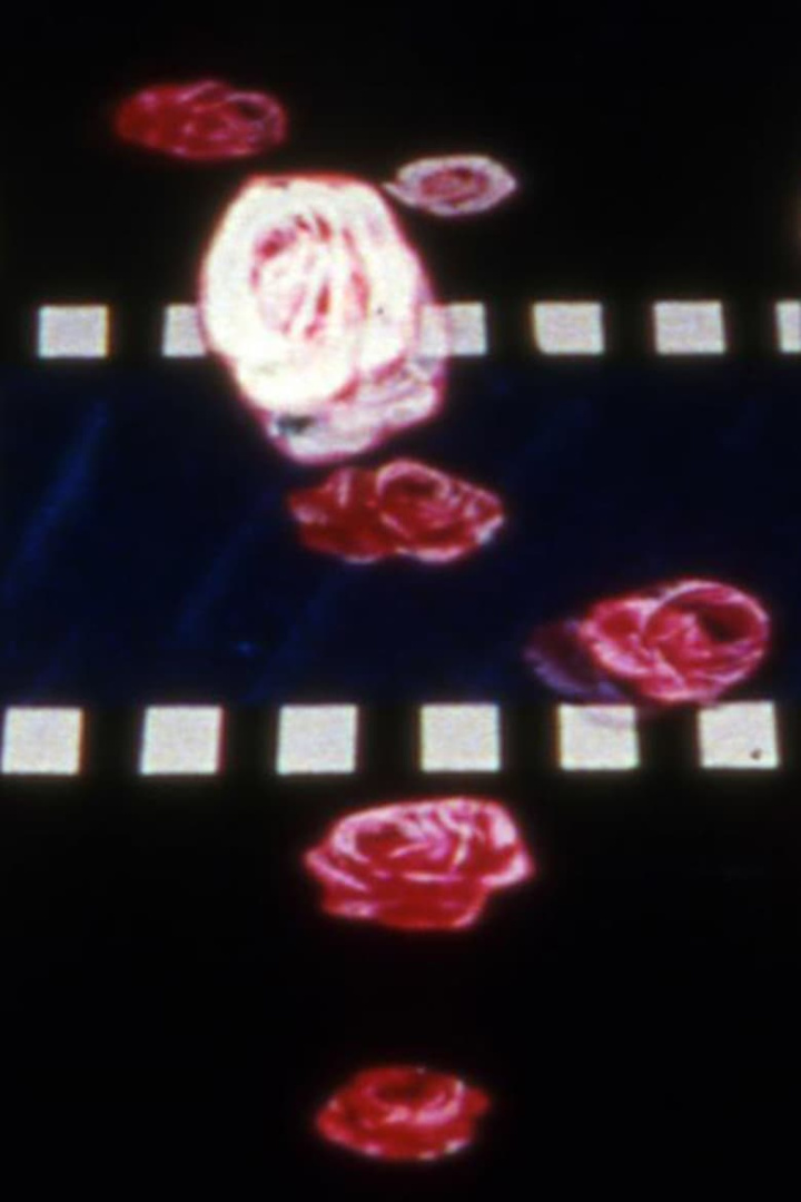 Eclipse Predictions i gruppen Alla filmer hos Mohamad shop (526167)