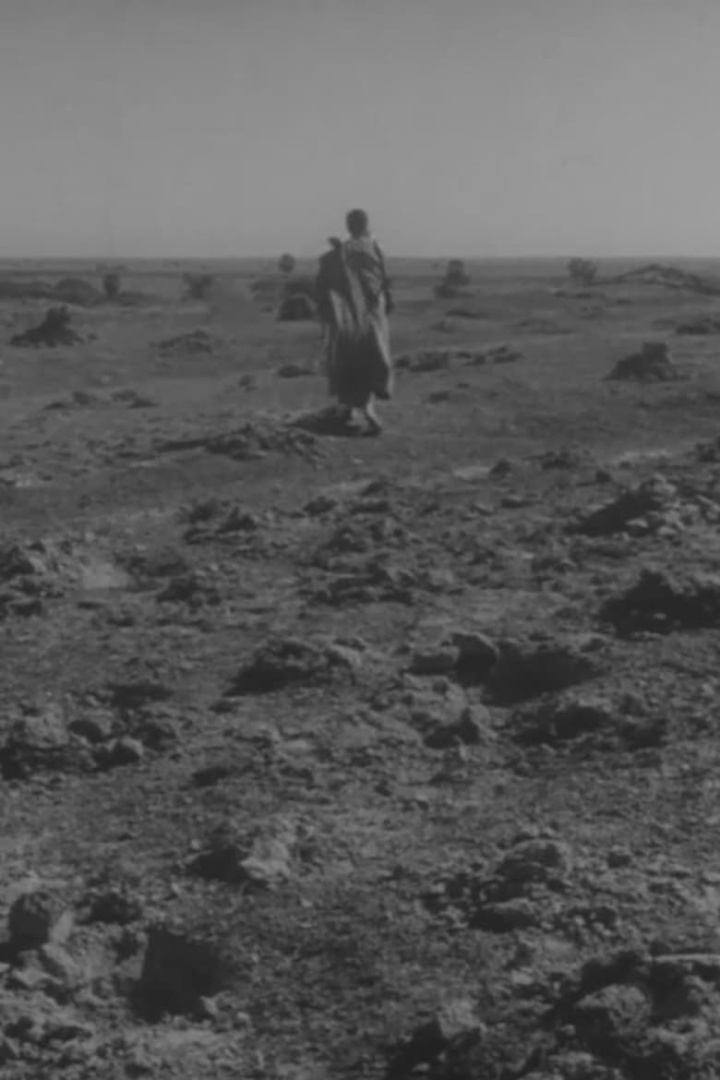 Samurais, Famílias e uma Harpa da Birmânia - Os Cinemas da Liberdade i gruppen Alla filmer hos Mohamad shop (527021)