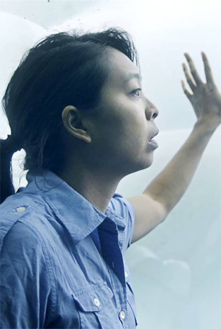 Remittance i gruppen Drama hos Mohamad shop (527188)