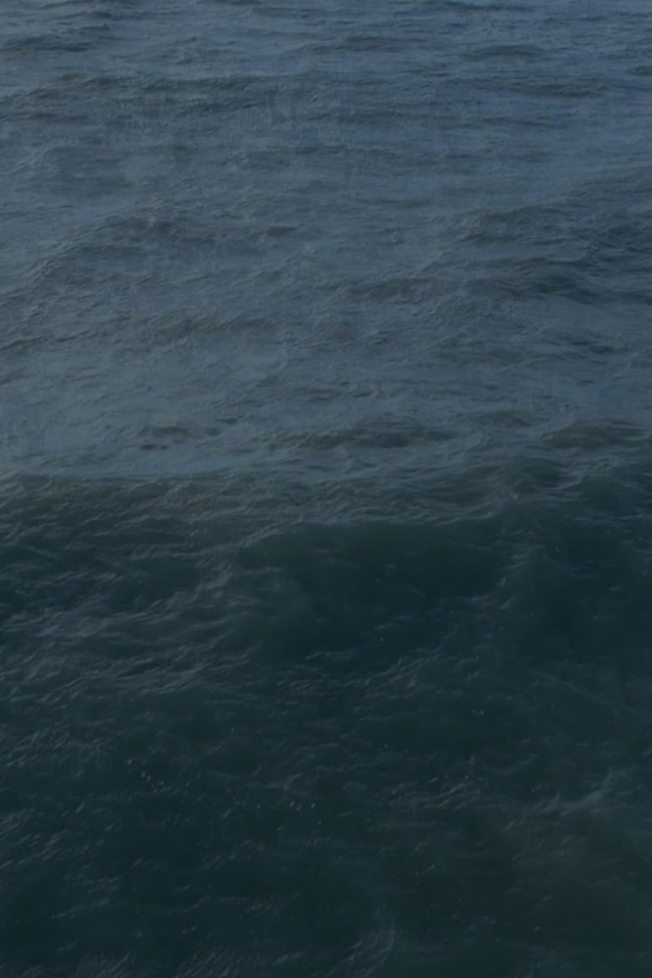 Twenty Nine Minutes at Sea i gruppen Alla filmer hos Mohamad shop (527505)