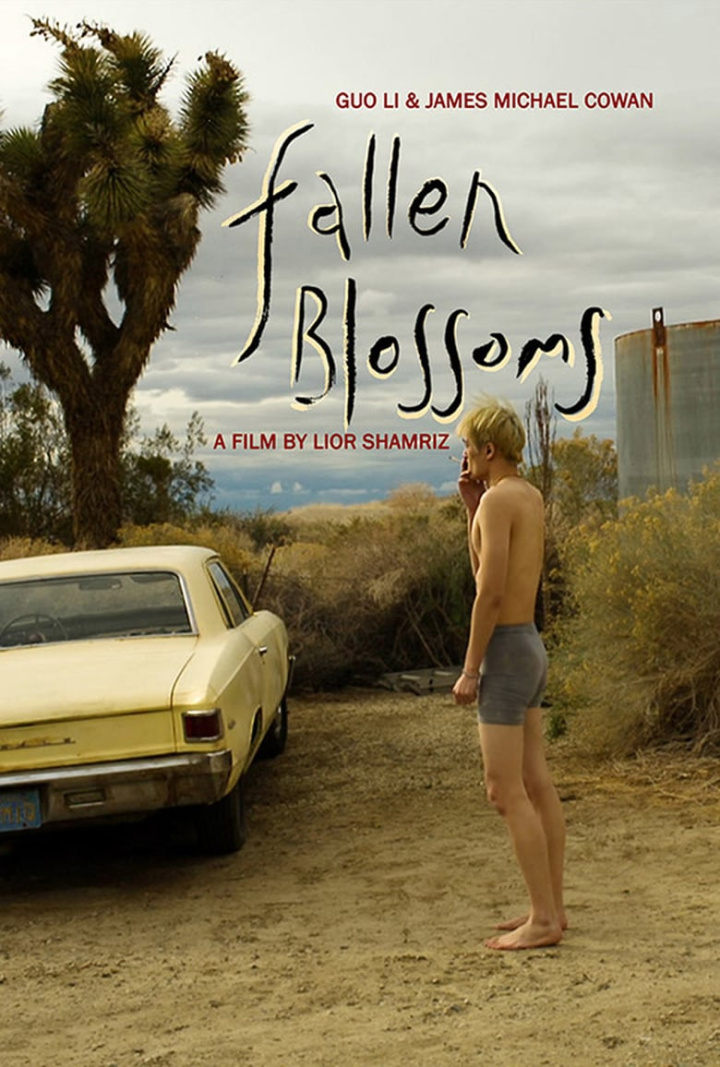 Fallen Blossoms i gruppen Alla filmer / Drama hos Mohamad shop (527661)
