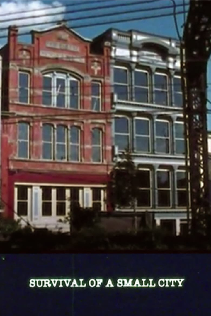 Survival of a Small City i gruppen Alla filmer hos Mohamad shop (528770)