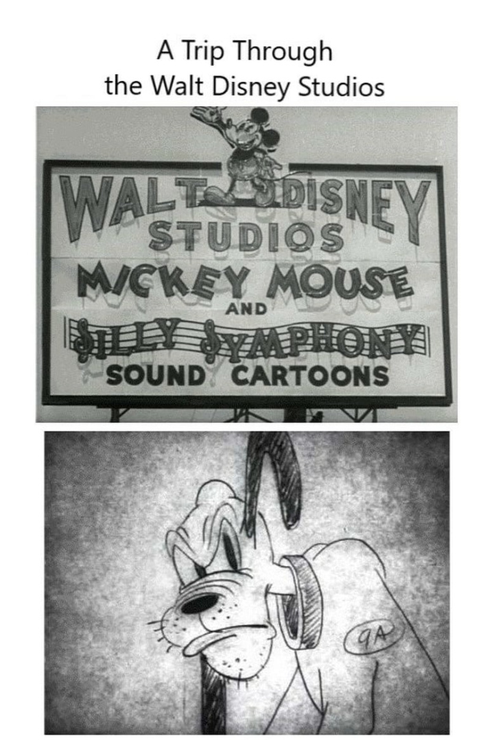 A Trip Through the Walt Disney Studios i gruppen Alla filmer hos Mohamad shop (529136)