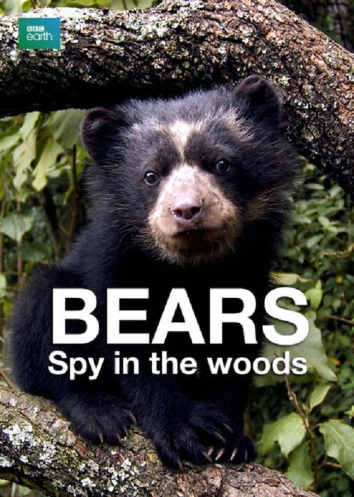 Bears: Spy in the Woods i gruppen Alla filmer hos Mohamad shop (529155)