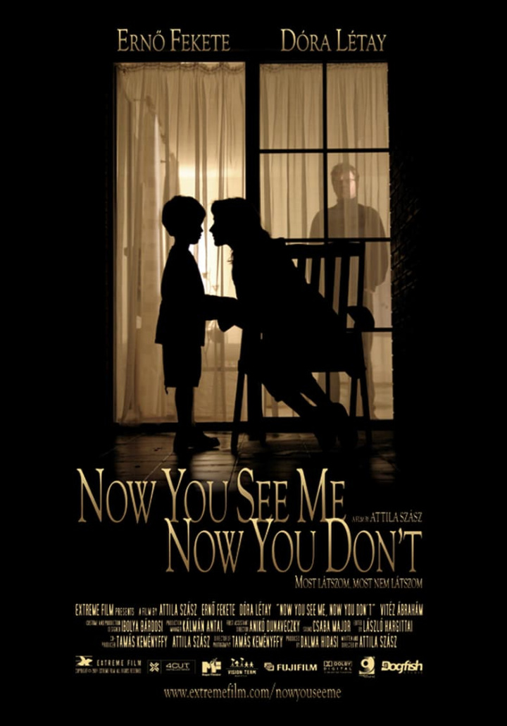 Now You See Me, Now You Don\'t i gruppen Alla filmer / Drama hos Mohamad shop (529293)