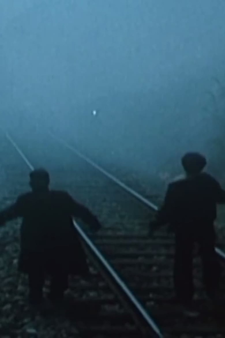 Binarët i gruppen Alla filmer hos Mohamad shop (529378)