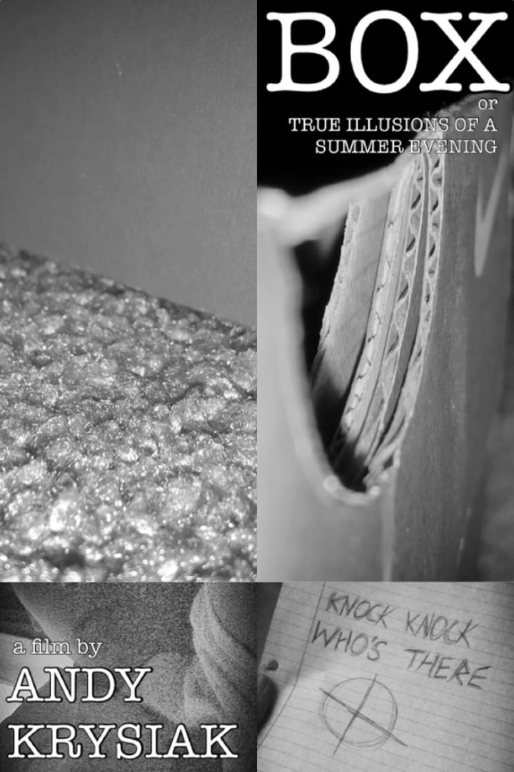 Box, or True Illusions of a Summer Evening i gruppen Alla filmer / Thriller hos Mohamad shop (529714)