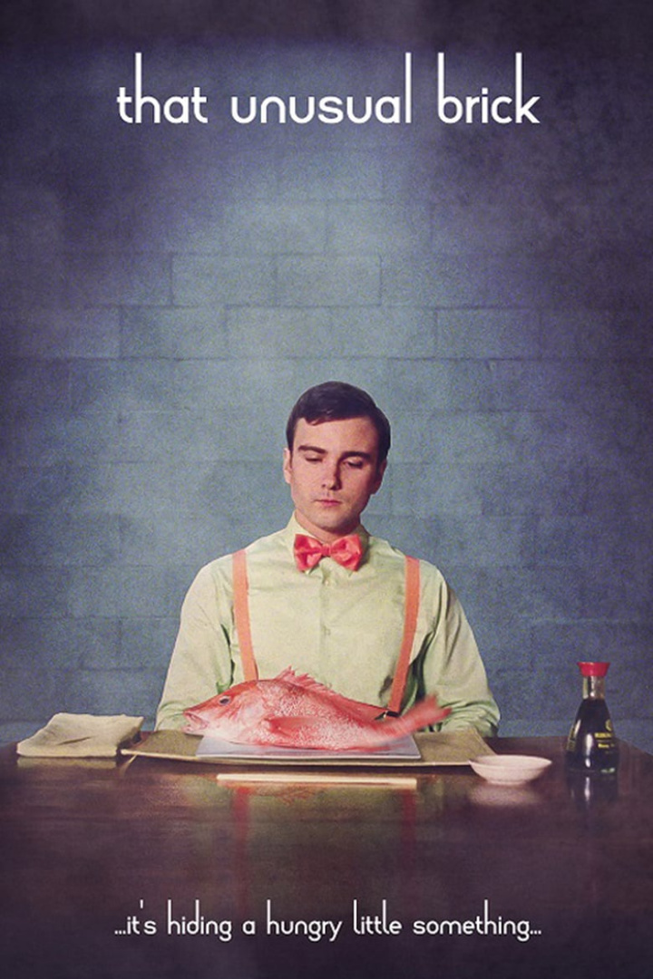 That Unusual Brick i gruppen Alla filmer hos Mohamad shop (529923)