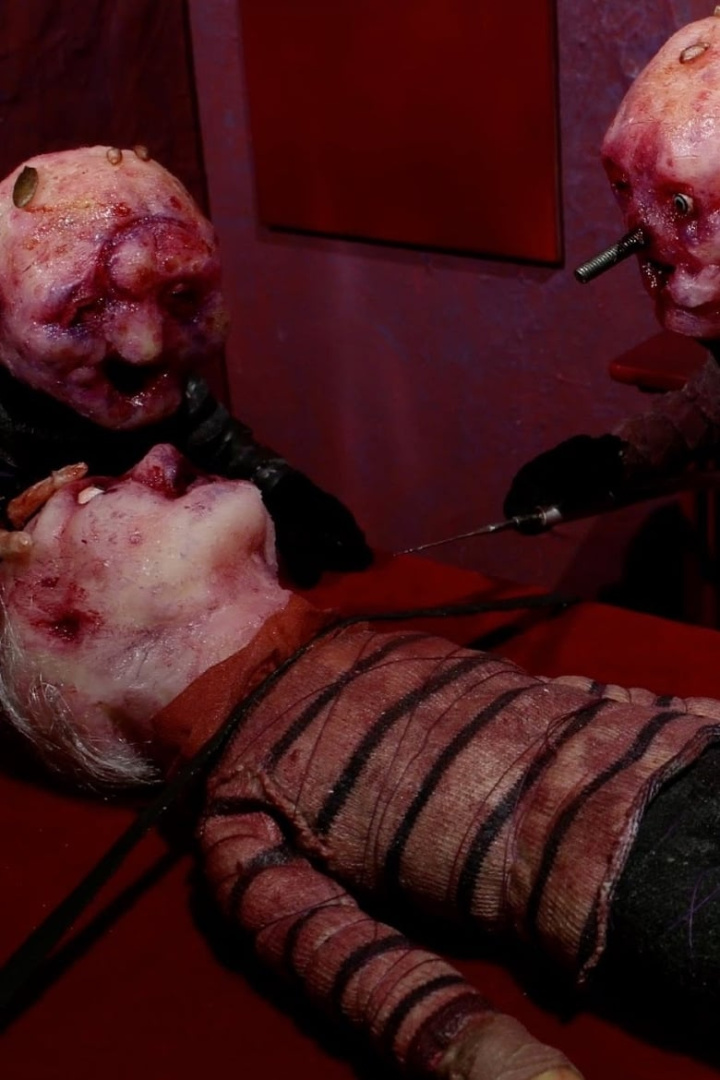 D Is for Deloused i gruppen Skräck hos Mohamad shop (530253)