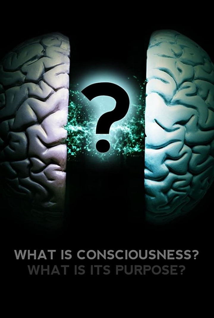 What Is Consciousness? What Is Its Purpose? i gruppen Alla filmer hos Mohamad shop (530380)