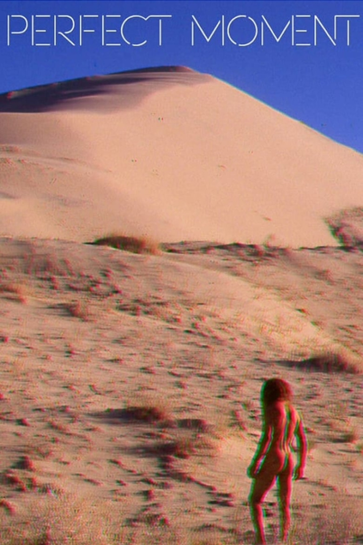 Perfect Moment i gruppen Alla filmer hos Mohamad shop (530394)