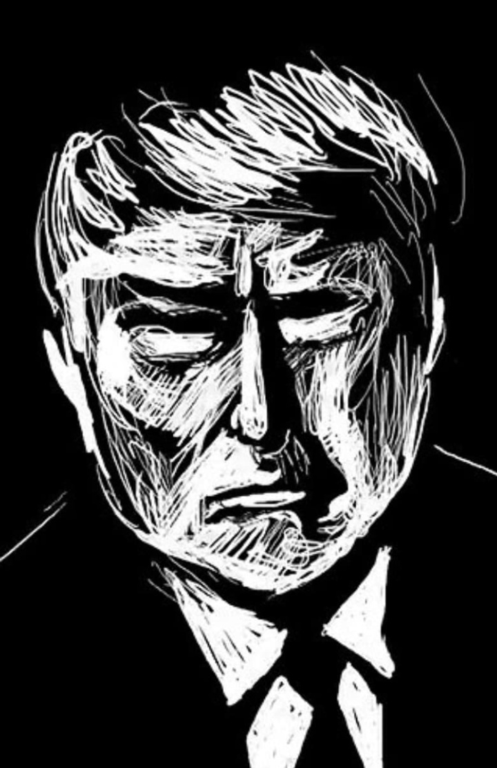 Trump Dreams i gruppen Alla filmer hos Mohamad shop (530682)