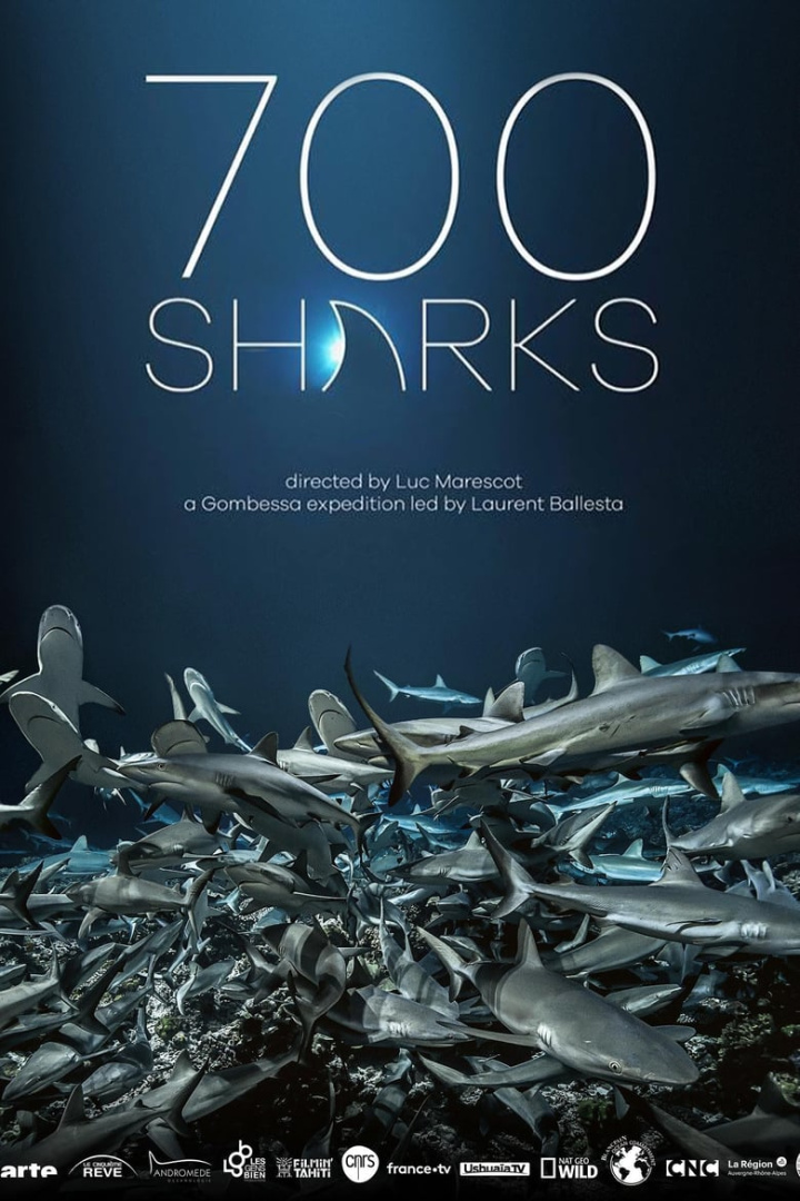 700 Sharks i gruppen Alla filmer hos Mohamad shop (530838)