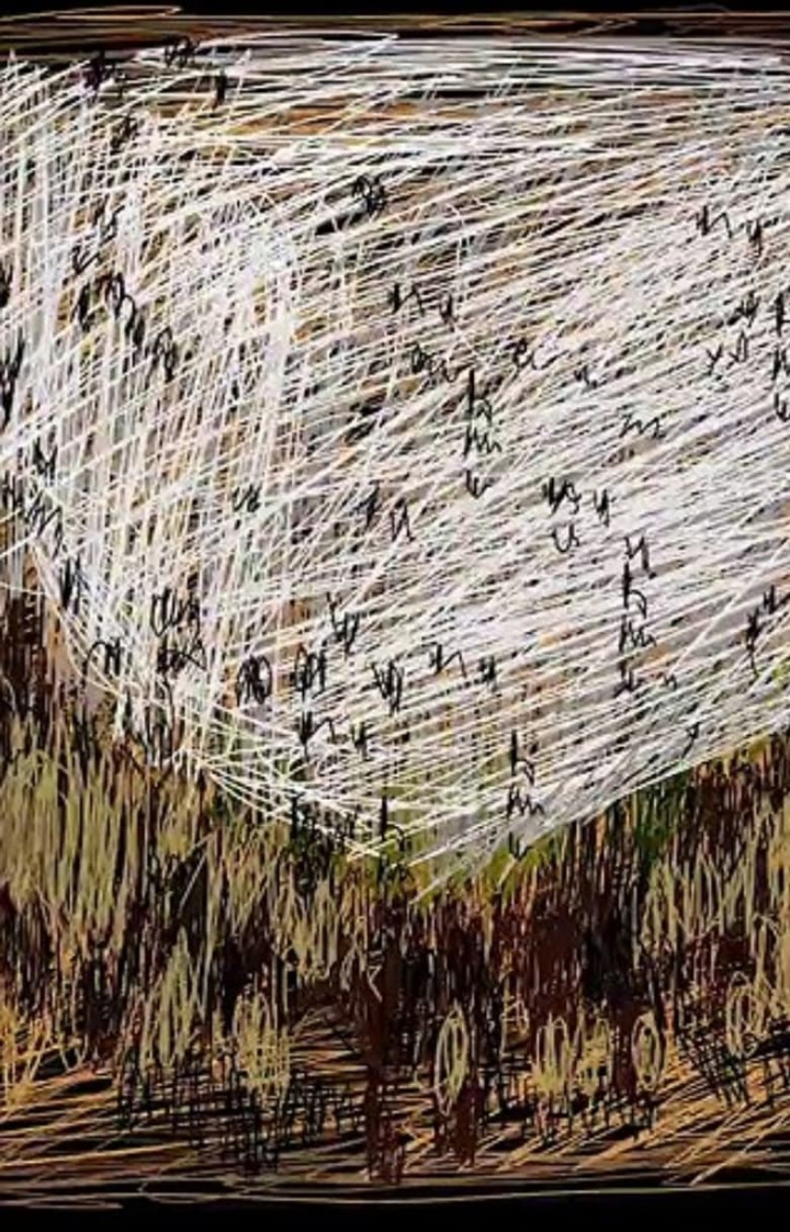 A One Minute History Of Image Distortions i gruppen Alla filmer hos Mohamad shop (531195)