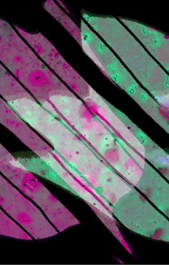 Attraction i gruppen Alla filmer hos Mohamad shop (531200)