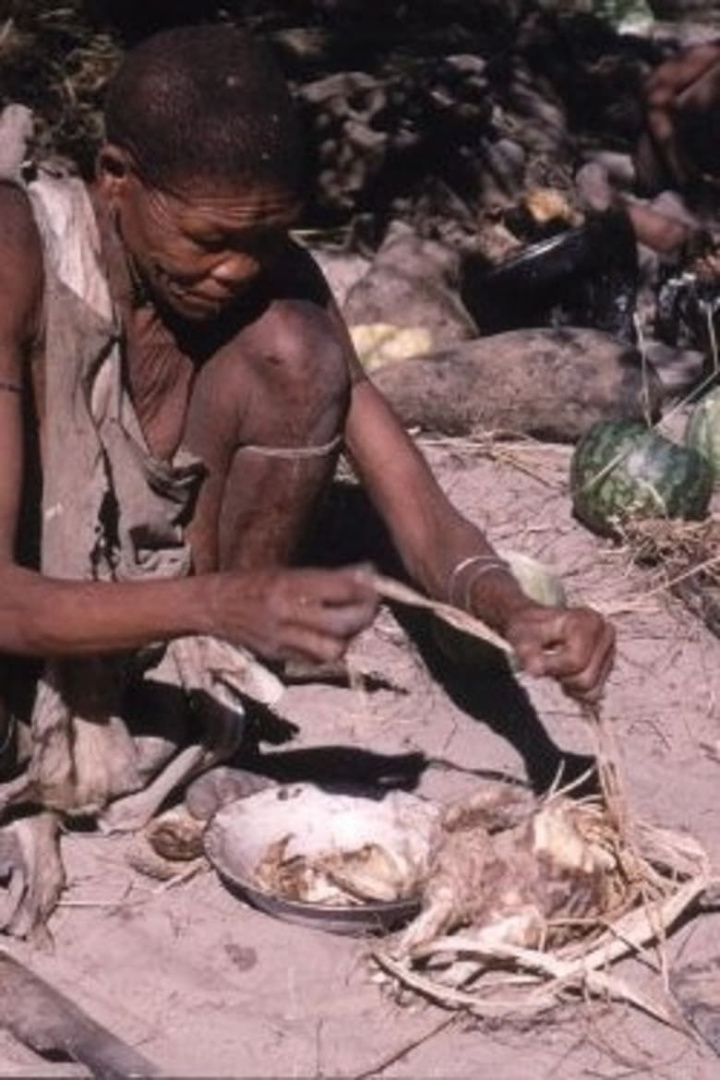 Bitter Melons i gruppen Alla filmer hos Mohamad shop (531622)