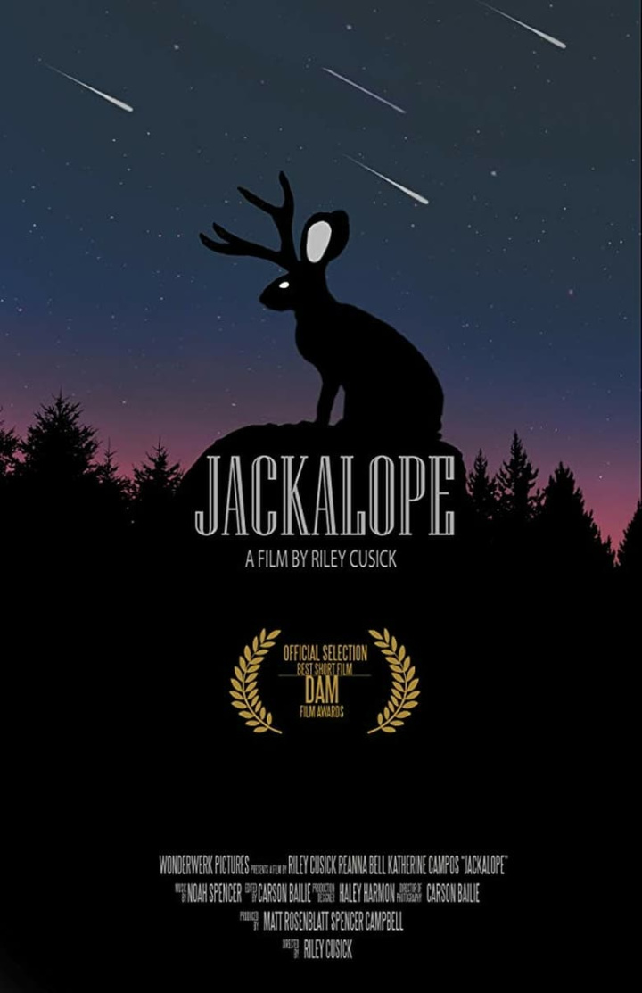 Jackalope i gruppen Alla filmer / Drama hos Mohamad shop (531635)