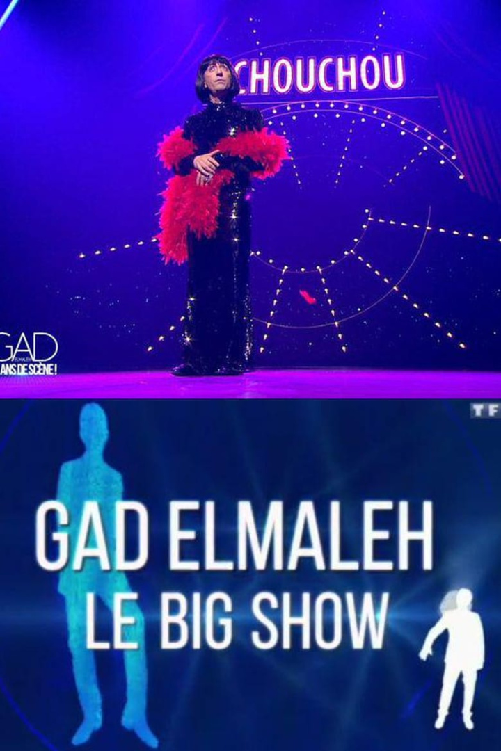Gad Elmaleh - Le Big Show i gruppen Alla filmer hos Mohamad shop (531652)