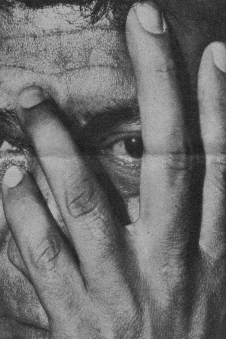 En magisk värld i gruppen Alla filmer hos Mohamad shop (531875)