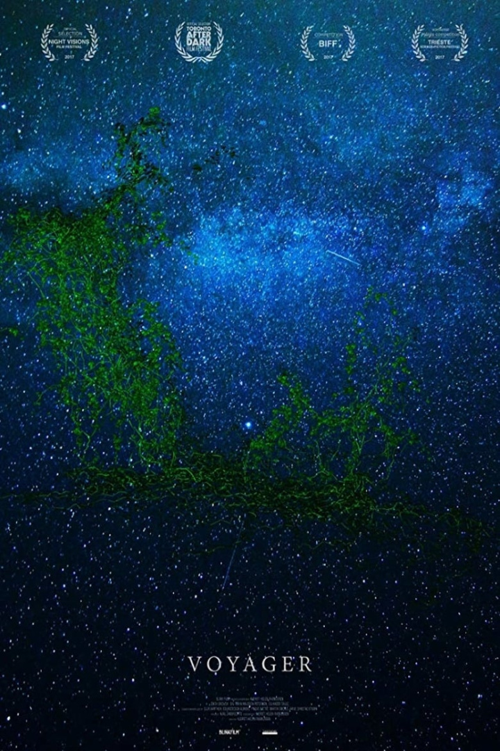 Voyager i gruppen Alla filmer hos Mohamad shop (532757)