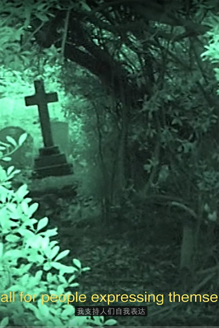 Anatomy of Goth i gruppen Alla filmer hos Mohamad shop (533245)