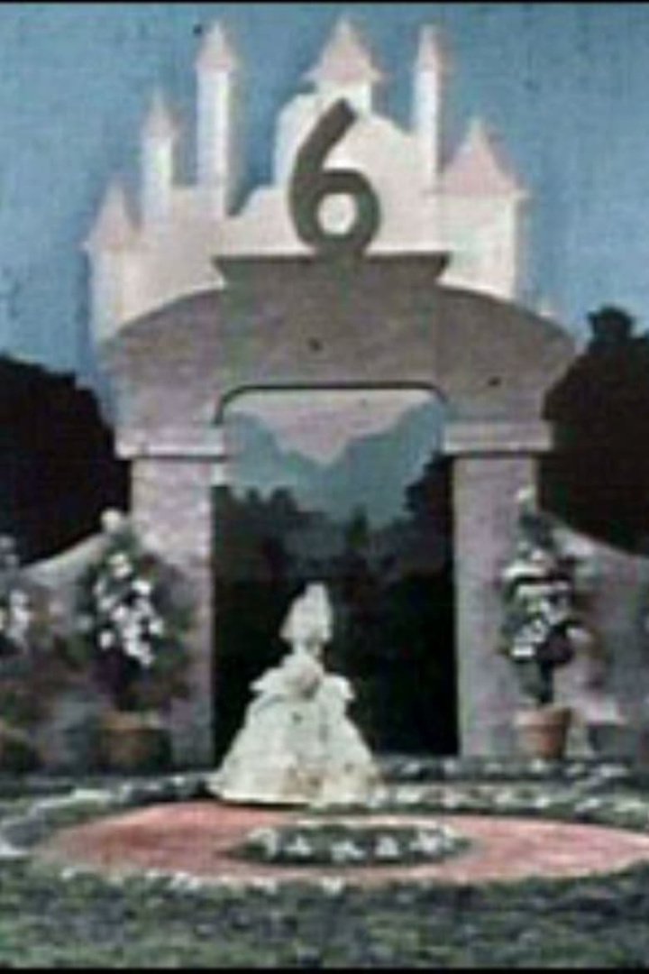 The Queen of Six i gruppen Alla filmer hos Mohamad shop (533568)