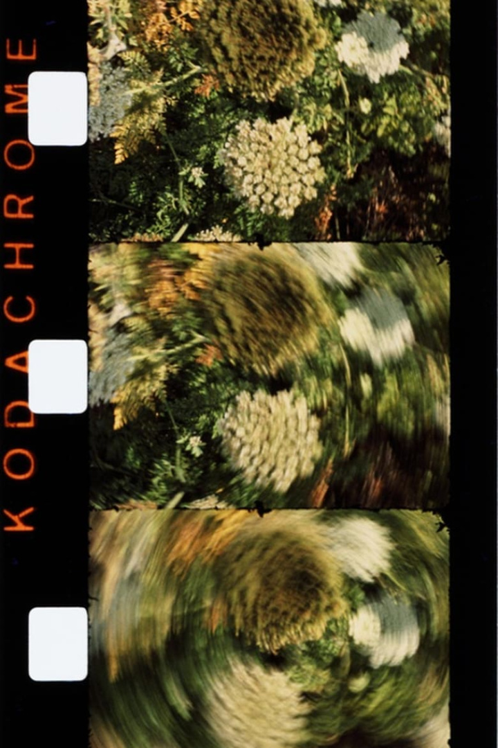 Midi i gruppen Alla filmer / Documentary hos Mohamad shop (533808)