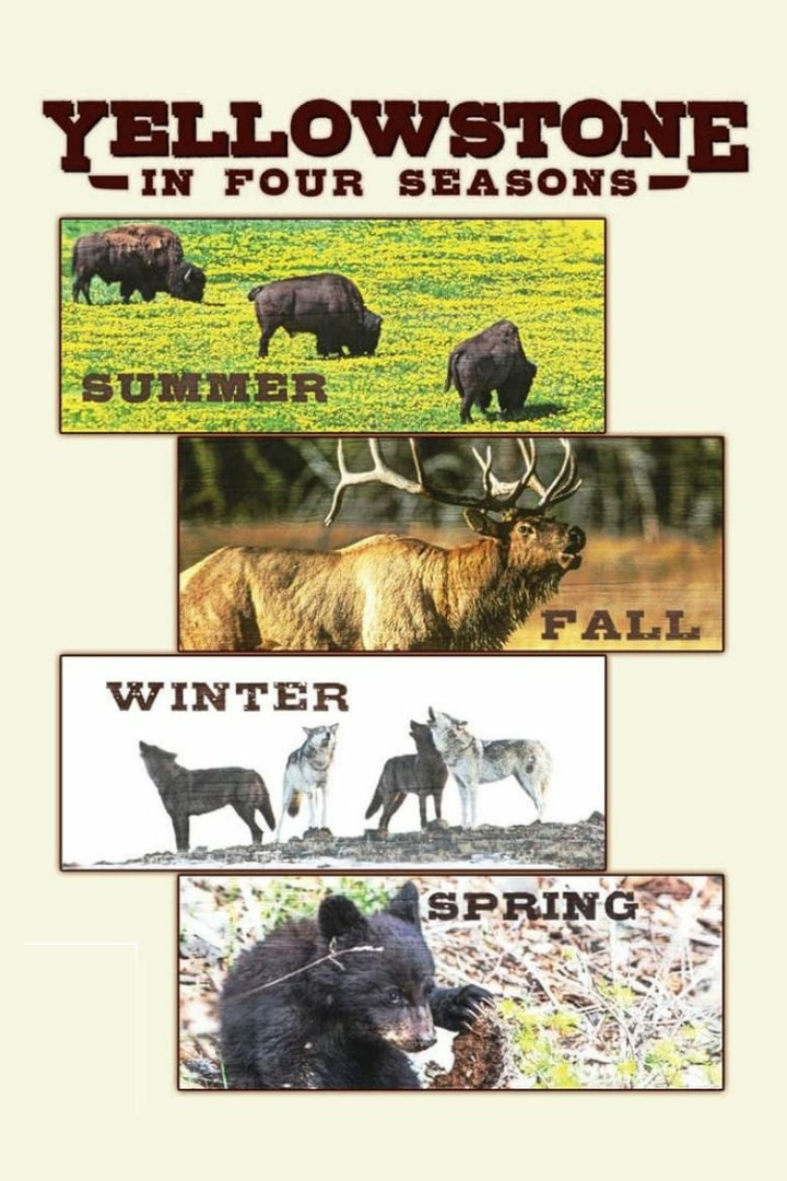 Yellowstone in Four Seasons i gruppen Alla filmer hos Mohamad shop (534634)