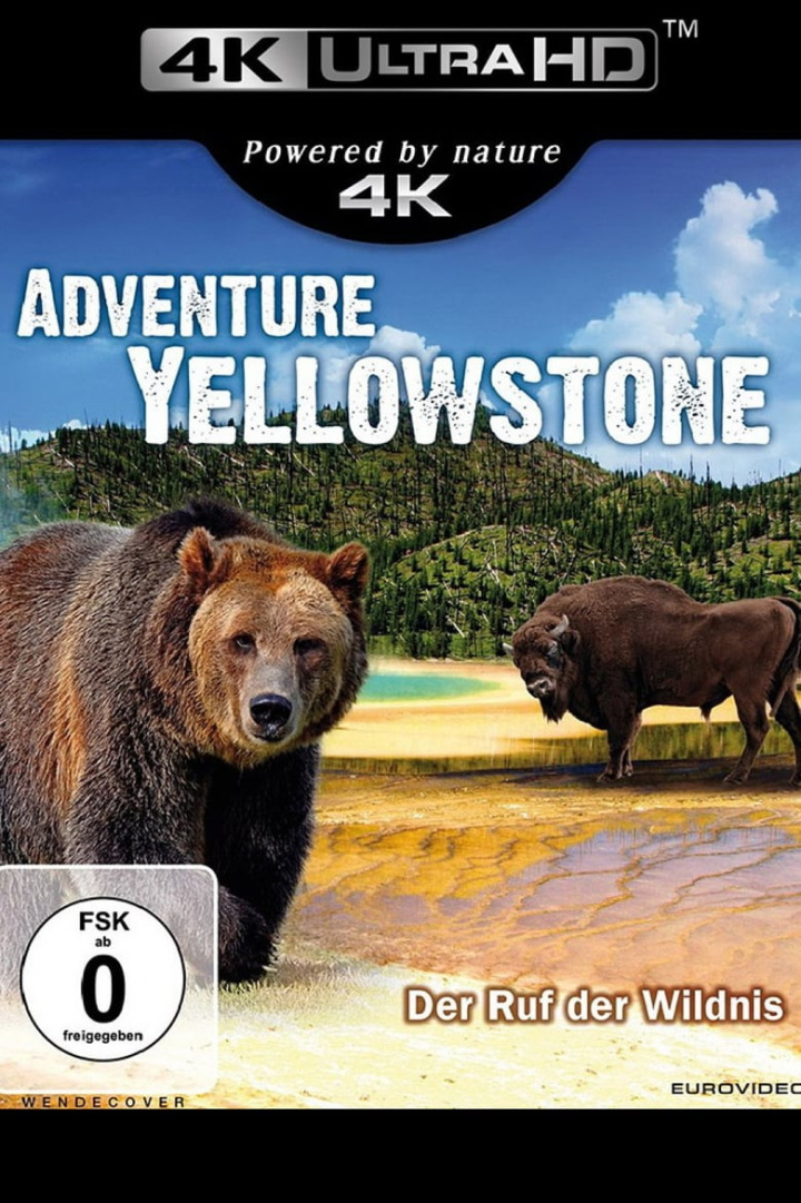 Adventure Yellowstone - Der Ruf der Wildnis i gruppen Alla filmer hos Mohamad shop (535000)