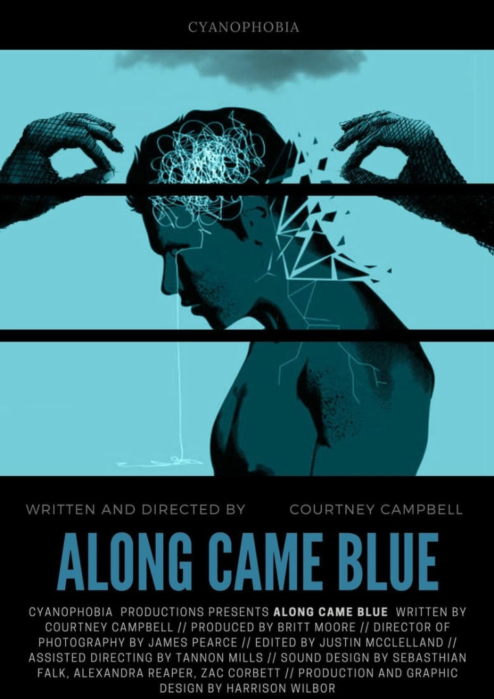 Along Came Blue i gruppen Thriller hos Mohamad shop (535392)
