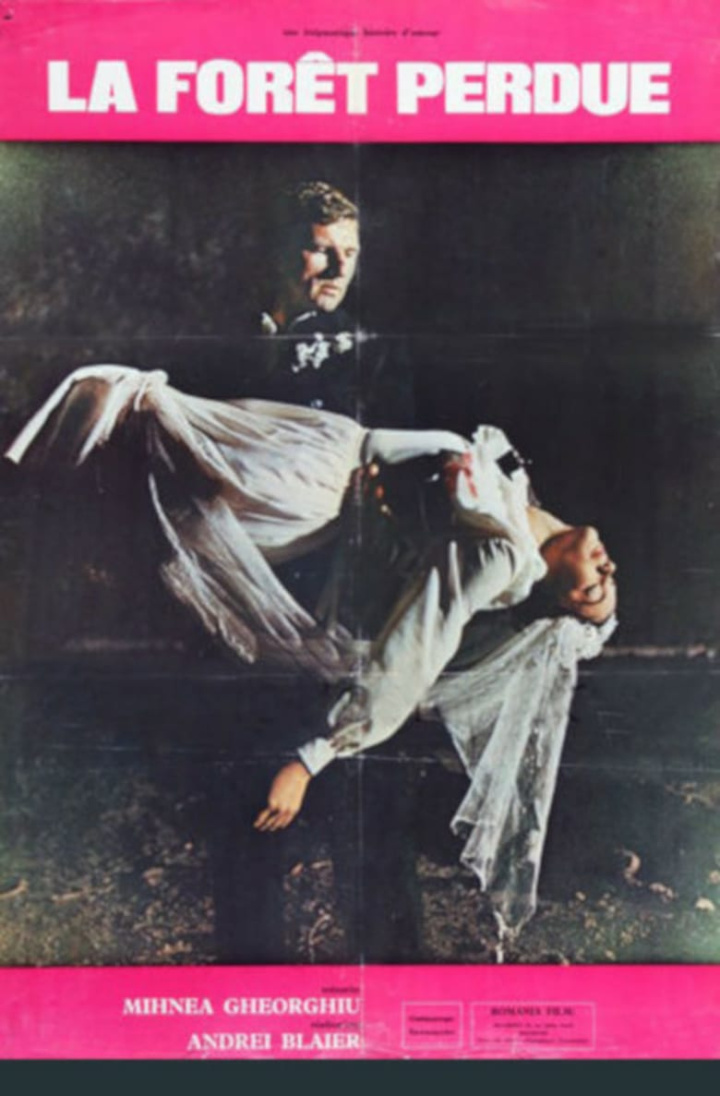 The Lost Forest i gruppen Romantik hos Mohamad shop (535725)