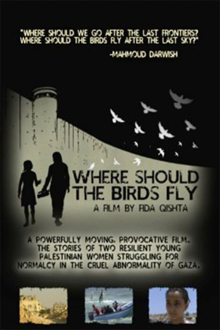 Where Should the Birds Fly? i gruppen Alla filmer hos Mohamad shop (535835)