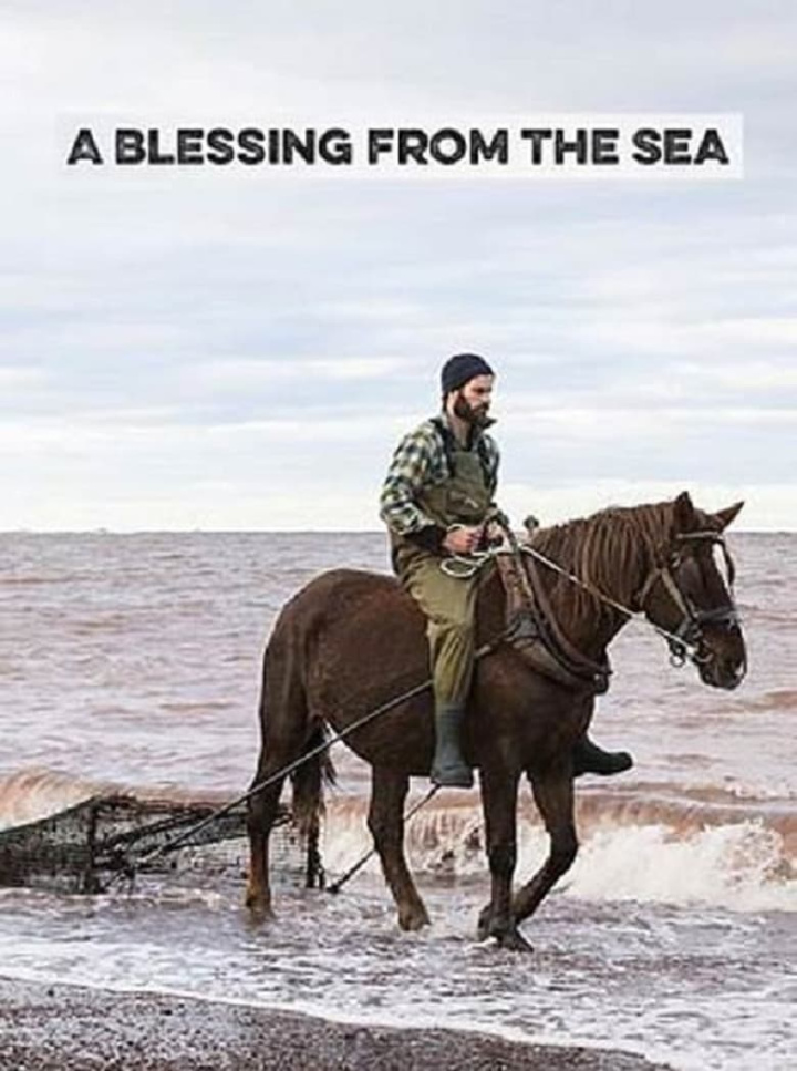 A Blessing from the Sea i gruppen Alla filmer hos Mohamad shop (535992)